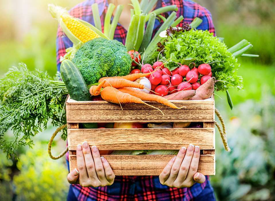 Panier de légumes de saison Familial